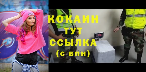 стаф Мурманск