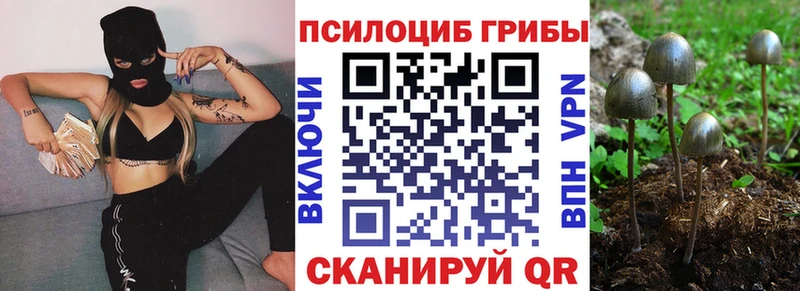 Псилоцибиновые грибы ЛСД  Купить  Константиновск 
